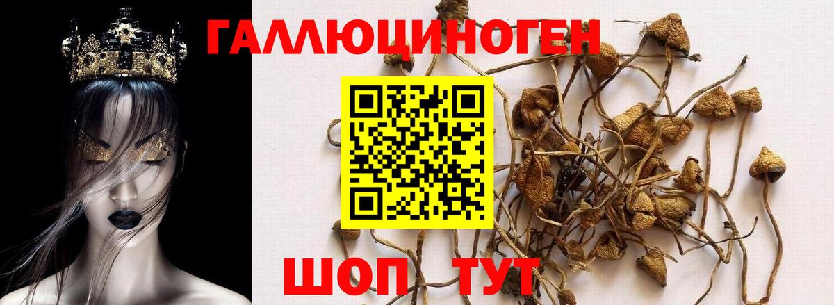 Пыть-Ях  Псилоцибиновые грибы мухоморы  хочу наркоту  Вход с VPN 